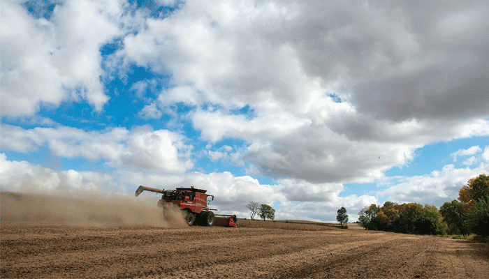 harvest