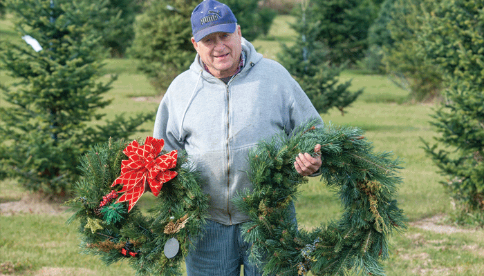 Stuart-Harmony Christmas Tree