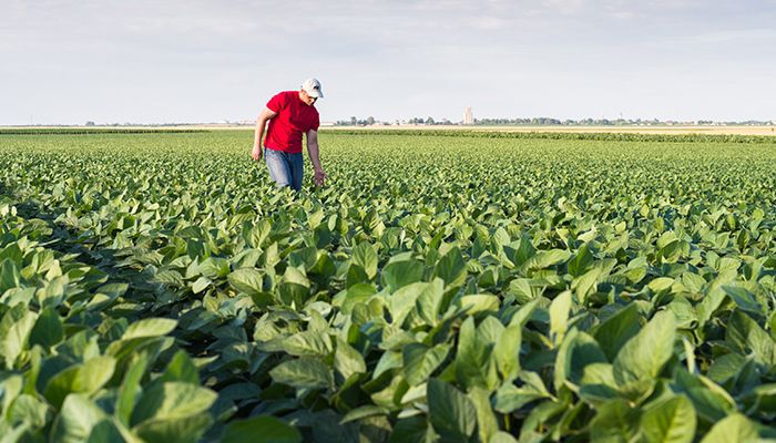 What’s Driving Rising Farmland Values?