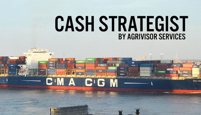 Cash Strategist