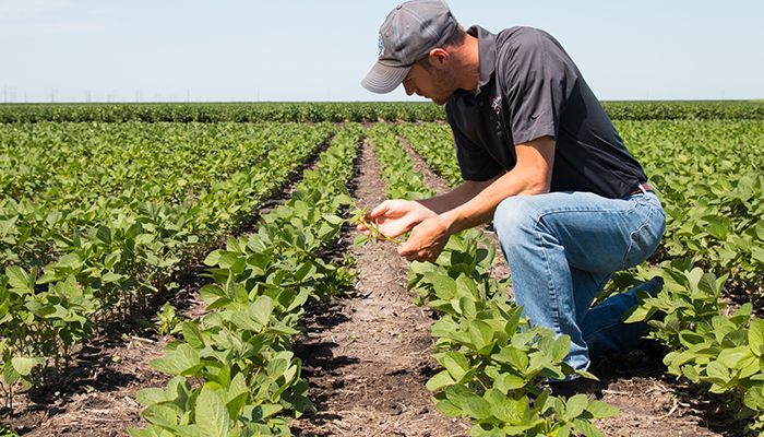 High fertilizer prices not going away soon