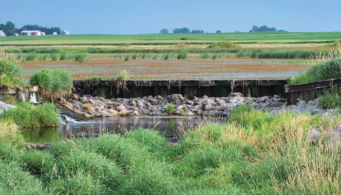 wetlands