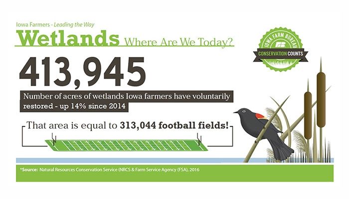 Wetland infographic