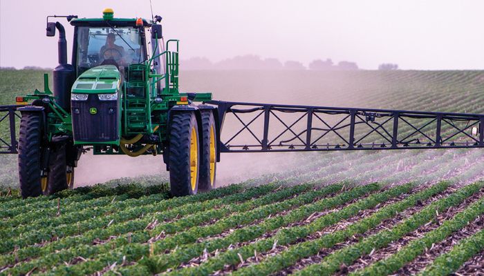 soybeans