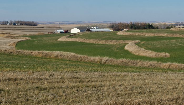 farm scene