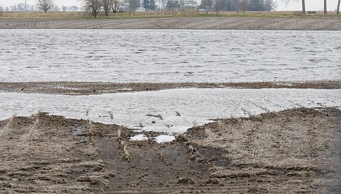 Big planting push  expected with arrival of warmer weather