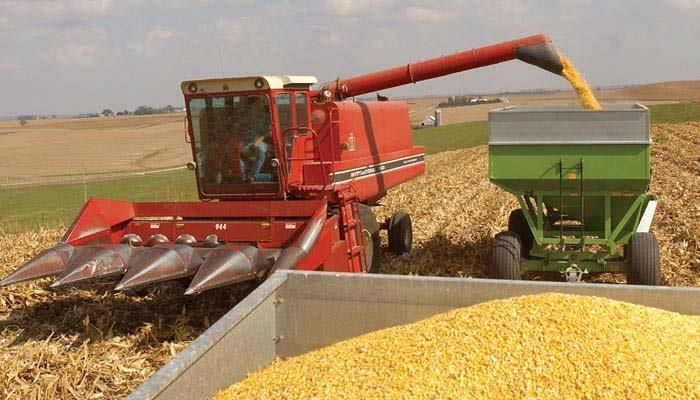 Report triggers grain price surge