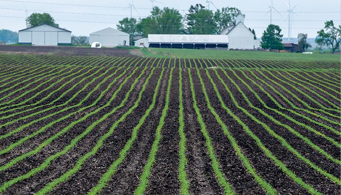 Ukraine war complicates USDA efforts to forecast global supply and demand.