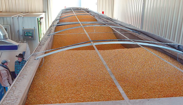 Moving grain out of Ukraine has become a challenge since the beginning of the war. 