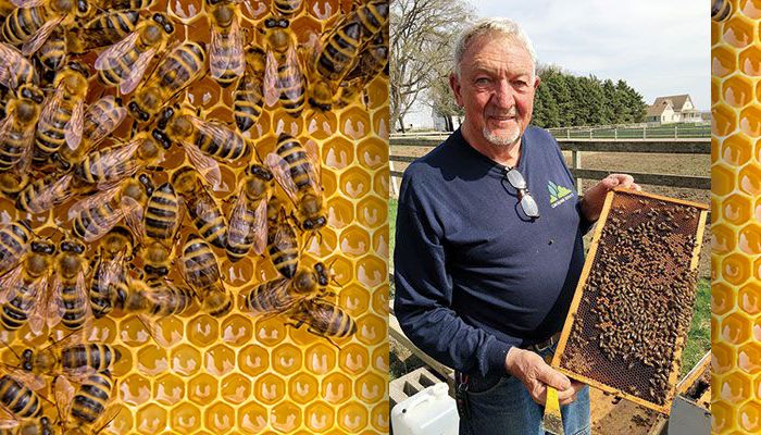Ron Rynders showing bee hive