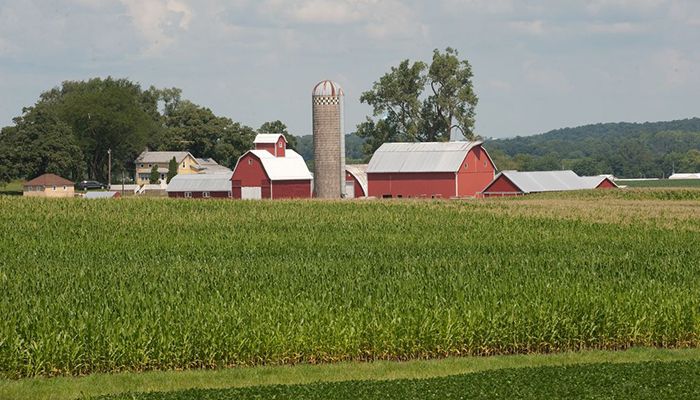 Interest Rates and Land Values 