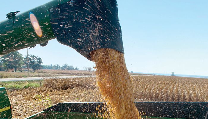 USDA estimates soybean production up, corn