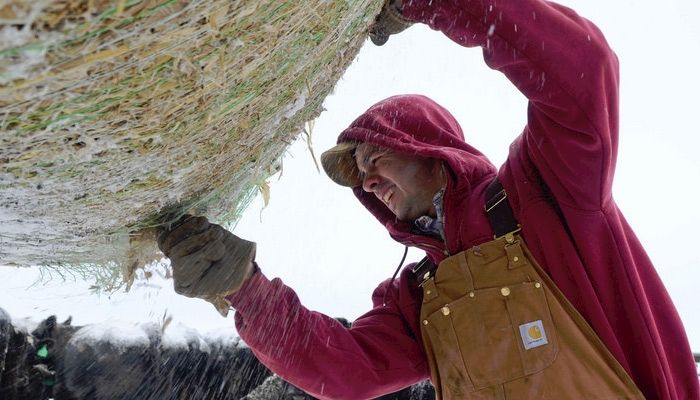 Care and determination during severe weather