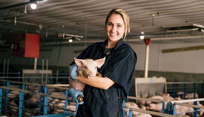Jennie Greene works as the health and welfare specialist at Eichelberger Farms, a pork farm based in Wayland.
