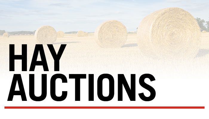 Hay Auctions