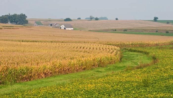 Early fall weather favorable for harvest in Iowa 