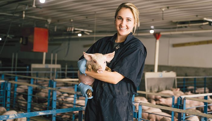 Swine welfare specialist ensures quality pork 