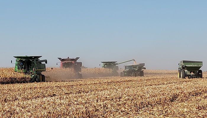 Combines finishing harvest