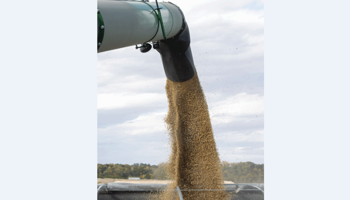 2023 corn, soybean production to grow, prices remain stable 