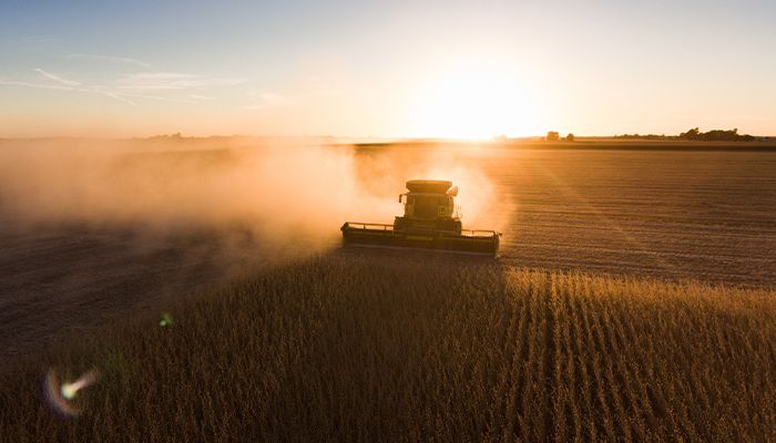 Search for a Pre-Harvest Crop Marketing Advantage