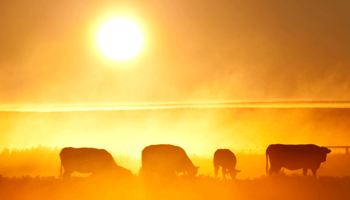 Drought conditions likely to continue into 2023 