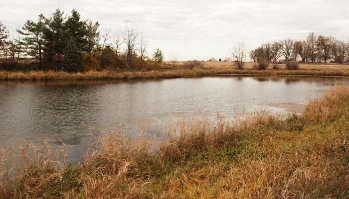 A case of jumping too soon on a water report