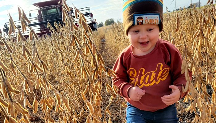 Daughter, you have a place in agriculture and other women are carving ...