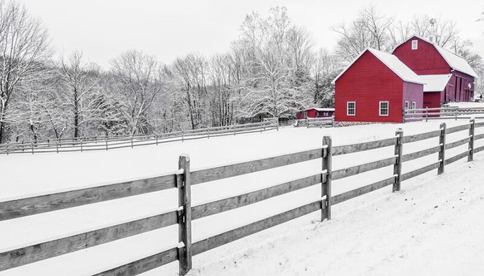 Farm covered in snow