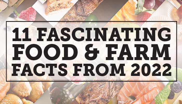 11 fascinating food and farm facts from 2022