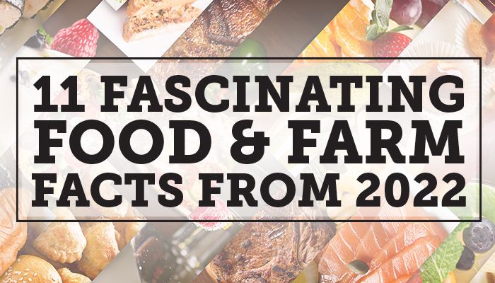 25 Fascinating Gross And Fun Food Facts For Kids