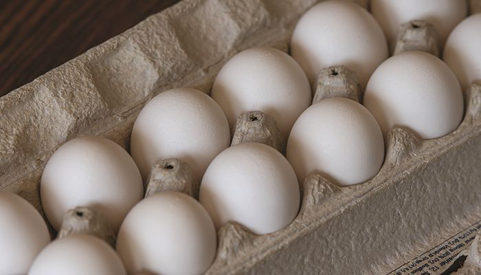 Carton of eggs