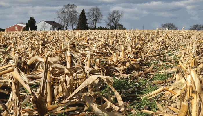 Odd facts learned about food and ag in 2022 