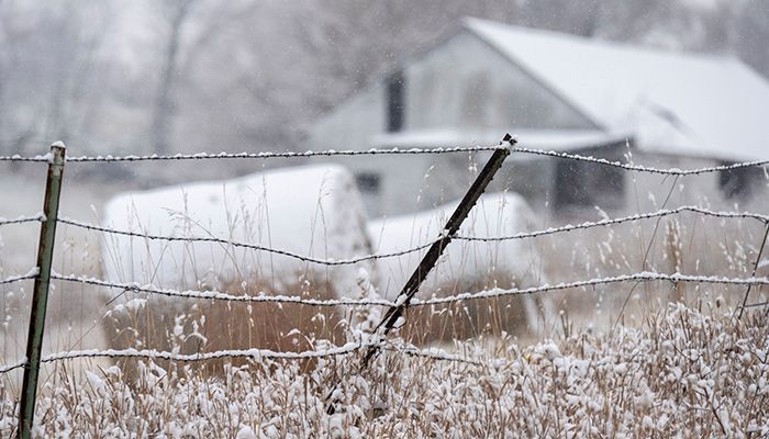 Upcoming conservation field days l January 6 update 