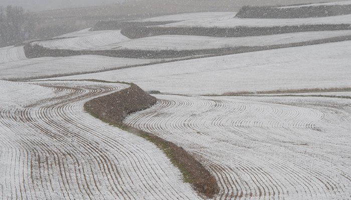 Upcoming conservation field days l January 13 update 