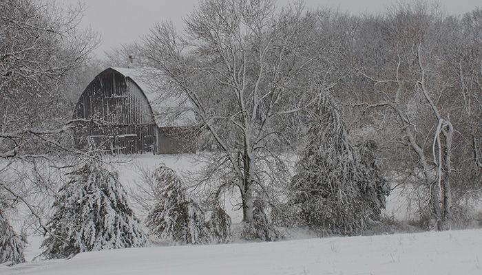 Upcoming conservation field days l January 20 update 