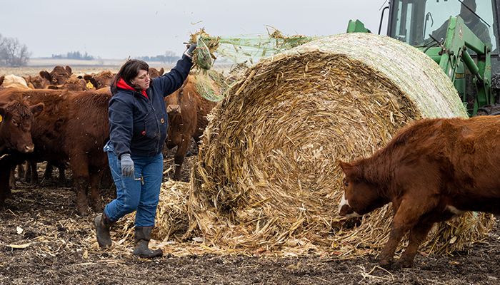 Justin and Corinne Rowe started their meat market in 2021 and source the product from their Red Angus cattle and small hog herd on the farm. 