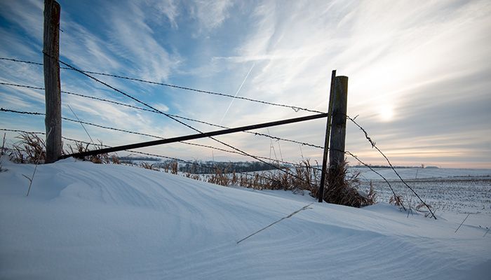 Upcoming conservation field days l January 27 update 