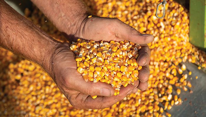 Trade officials are taking a tough stance with Mexico on biotech policies.