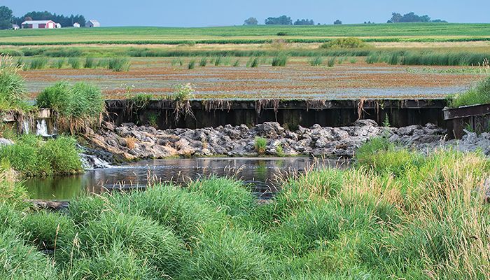 Iowa farmers lead the nation in the construction of wetlands