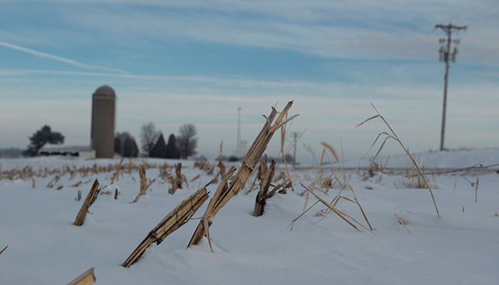 Upcoming conservation field days l February 24 update 
