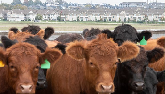Farmers can make a difference by engaging at a local level 