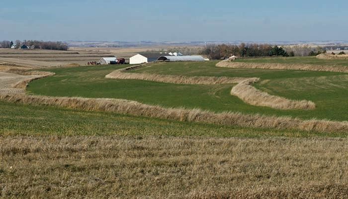 Nominations open for Iowa Conservation Farmer of the Year