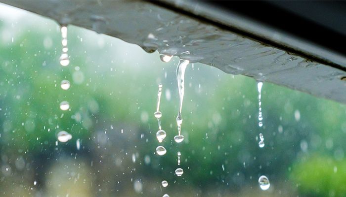 Rain