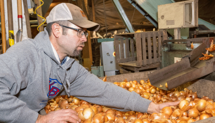 Iowa’s top spuds 