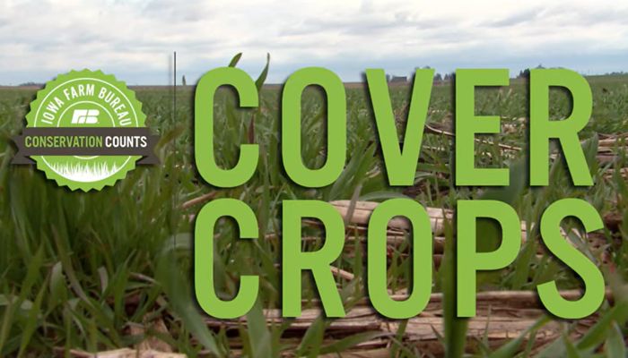 Cover Crops