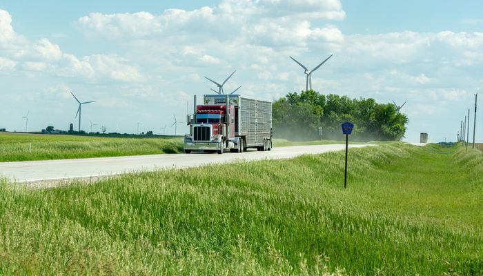 truck transportation