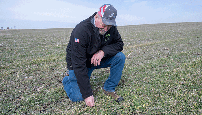 Conservation practices paying off in NE Iowa 