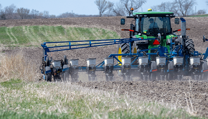 Seed companies highlight new products 