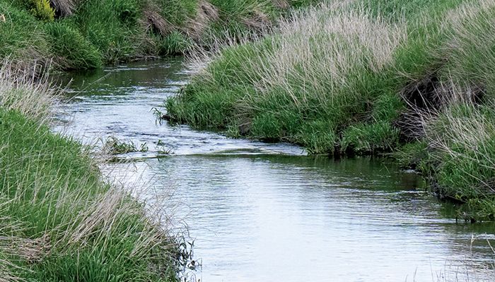 Judge freezes WOTUS rule for Iowa, 23 additional states 