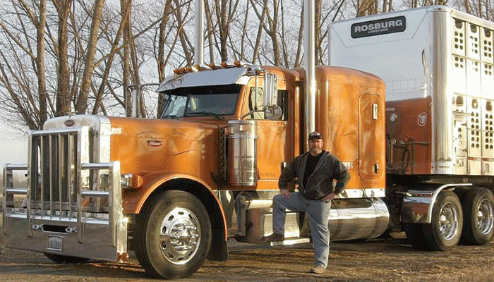 Keeping livestock safe on the road 